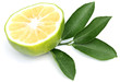 demi citron sur feuilles