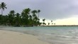 Palmtrees on a beach Palmtrees on a beach