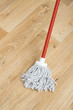 A red mop