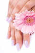 Fingernagel