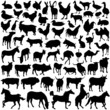 farm animals vector
