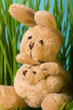 Easter bunny