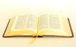 bible