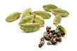 cardamon with cardamon seeds