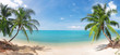 panoramic tropical beach with coconut palm panoramic tropical beach with coconut palm