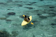 Man with dog in kayak at blue lagoon