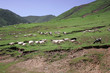 Tibet oriental Tibet oriental
