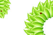 Floral background