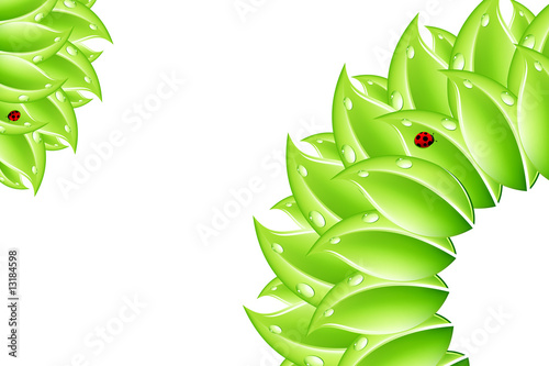 Vector: Floral background Floral background