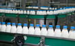 Dairy Plant. Dairy Plant.