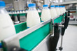 Dairy Plant. Dairy Plant.