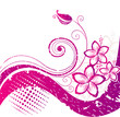 Hibiscus. Floral background.