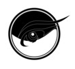 vector eye