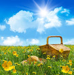 Summer picnic basket with straw hat in a field of flowers