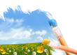 Painting a field full of wild flowers Painting a field full of wild flowers