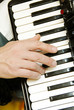 Musician hand playing accordion