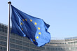 Drapeaux Européens à Bruxelles Drapeaux Européens à Bruxelles