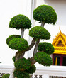 Decorative tree