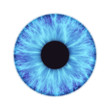iris