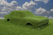 Green grass car