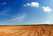 fields to russia