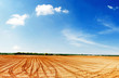 fields to russia