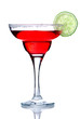 Margarita/Daiquiri cocktail Margarita/Daiquiri cocktail