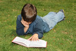 Boy Reading