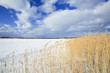 winter landscape