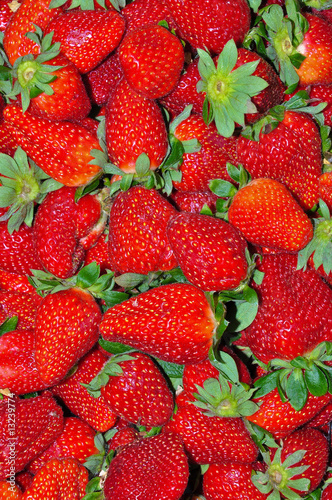 Photo: Garden Strawberry 3 Garden Strawberry 3