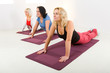 Women doing exercices on mat