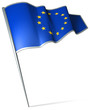 Flag pin