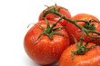 Tomatoes - Salad - Tomates - Tomato - Lettuce Tomatoes - Salad - Tomates - Tomato - Lettuce