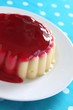 Pudding mit Kirschsoße