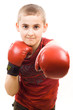 boy with red boxing gloves boy with red boxing gloves