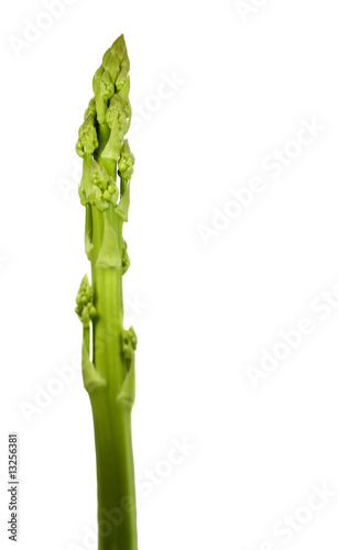 Photo: organic asparagus spear homegrown organic asparagus spear homegrown