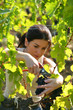 femme travaillant dans les vignes