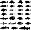 Sea animals fish silhouettes set Sea animals fish silhouettes set