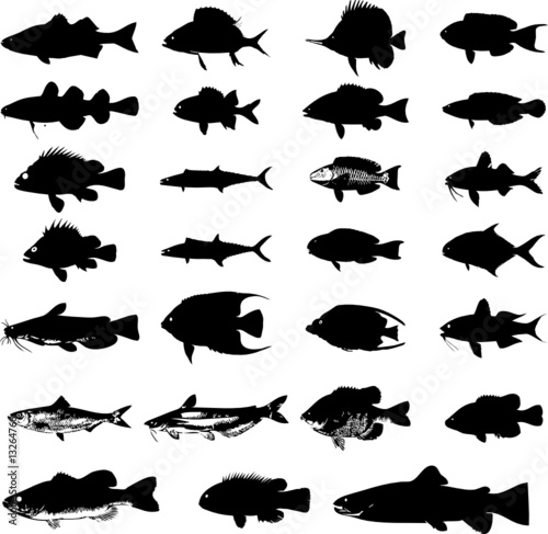 silhouettes of animals. Sea animals fish silhouettes