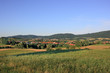 Odenwald