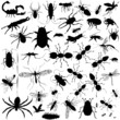 37 pieces of vectoral bug silhouettes. 37 pieces of vectoral bug silhouettes.