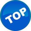 Web button - top