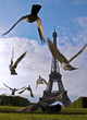 Eiffel Tower Pigeons
