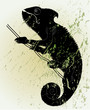 Chameleon Chameleon