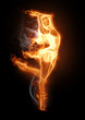 flamy symbol