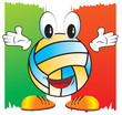 volley italia