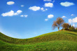 Tree under the clouds