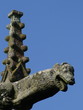Enclos de plougonven,gargouille,bretagne,finistère,calvaire