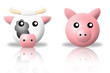animals icons - cow and pig. white background and reflection animals icons - cow and pig. white background and reflection