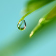 big water drop big water drop